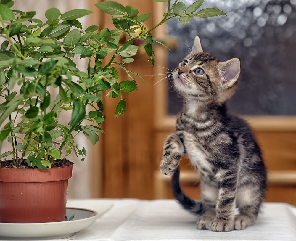 Photograph by Анна Кривицкая