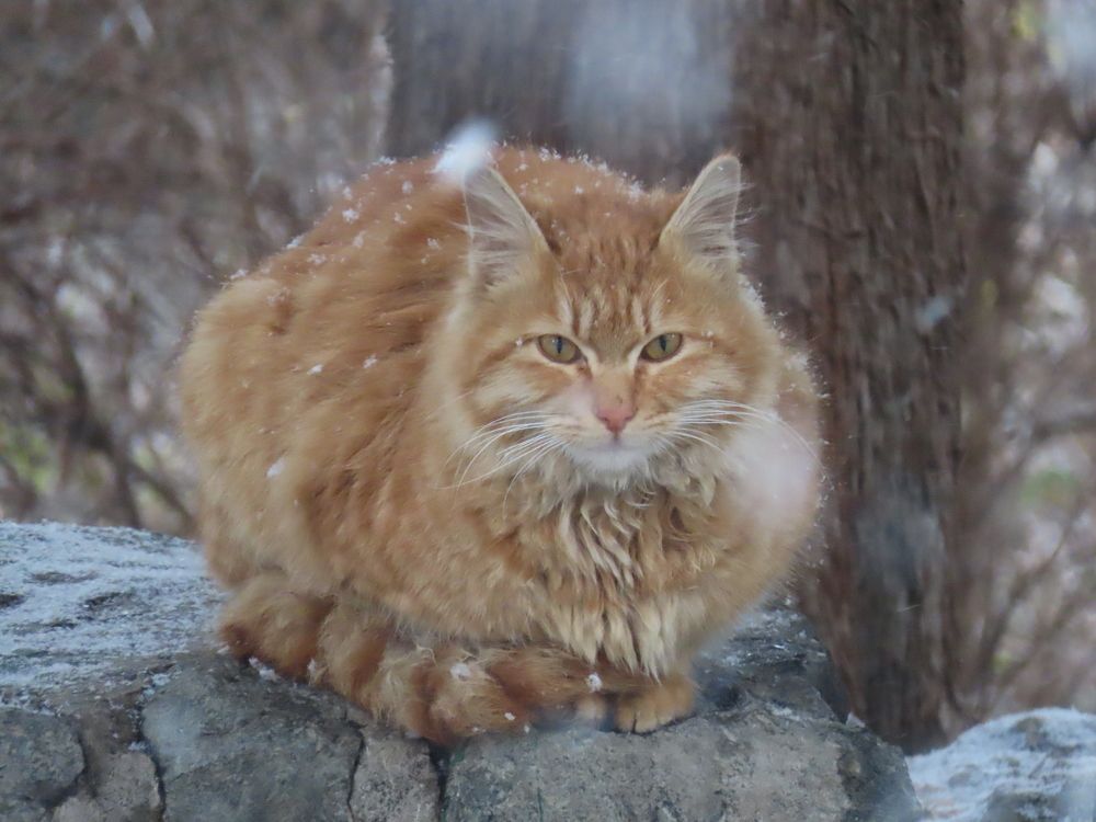 Photograph by mahboubeh moradalizadeh