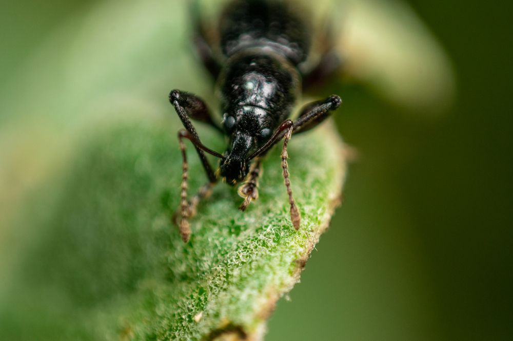 Фотография автора Jose Marcos Carvajal Tarazona