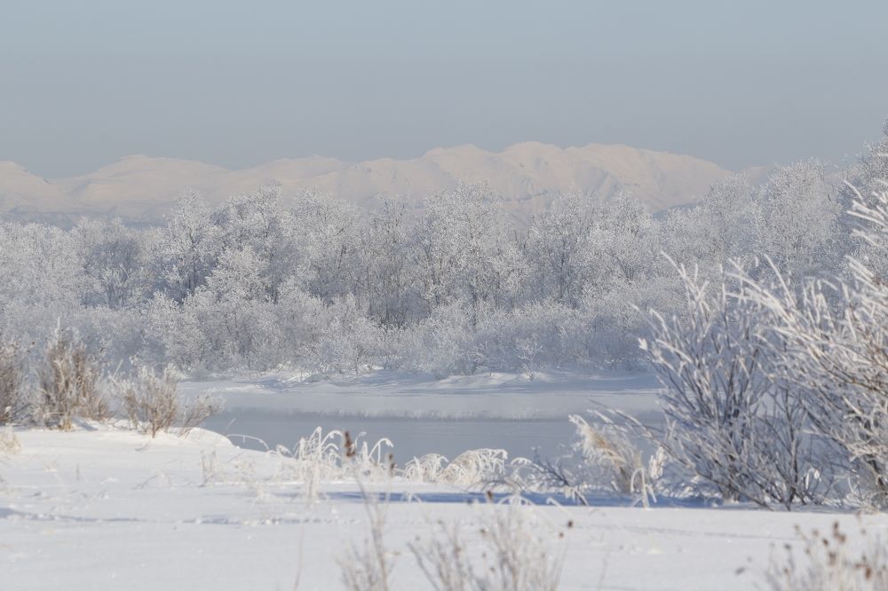 Photograph by Наталья Турчик