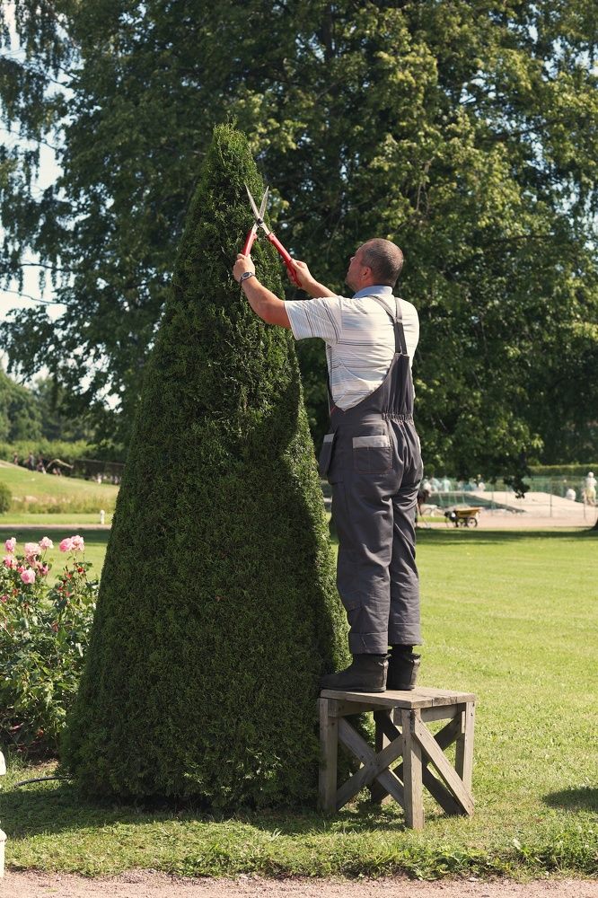 Photograph by Алеся Маклакова