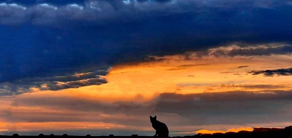 Photograph by Régis Santos