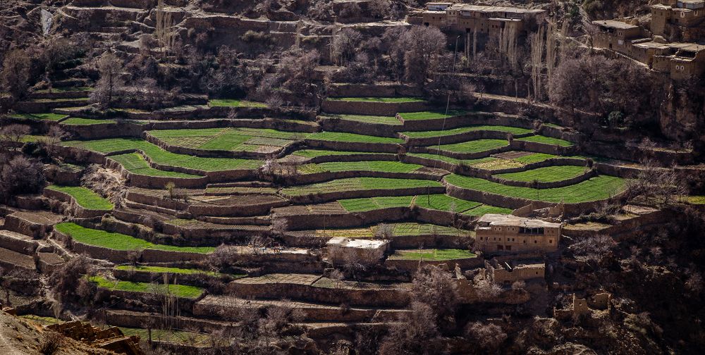 Photograph by wafae koubaa