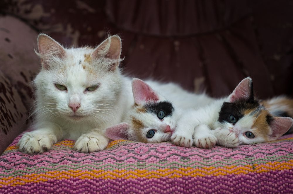 Photograph by Андрей Бурда