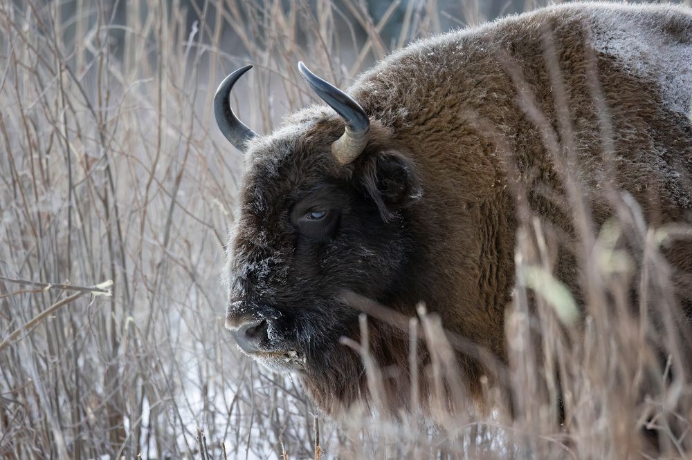 Photograph by Галина Павлова