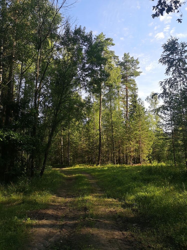 Photograph by Екатерина Борисовна Кузьмина