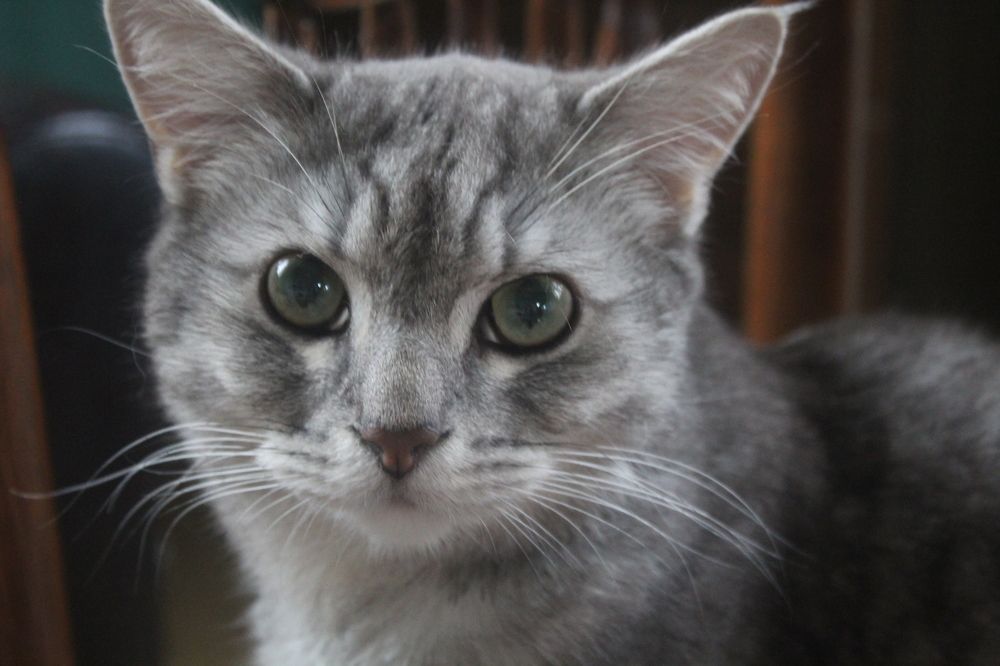 Photograph by Олеся Жакова