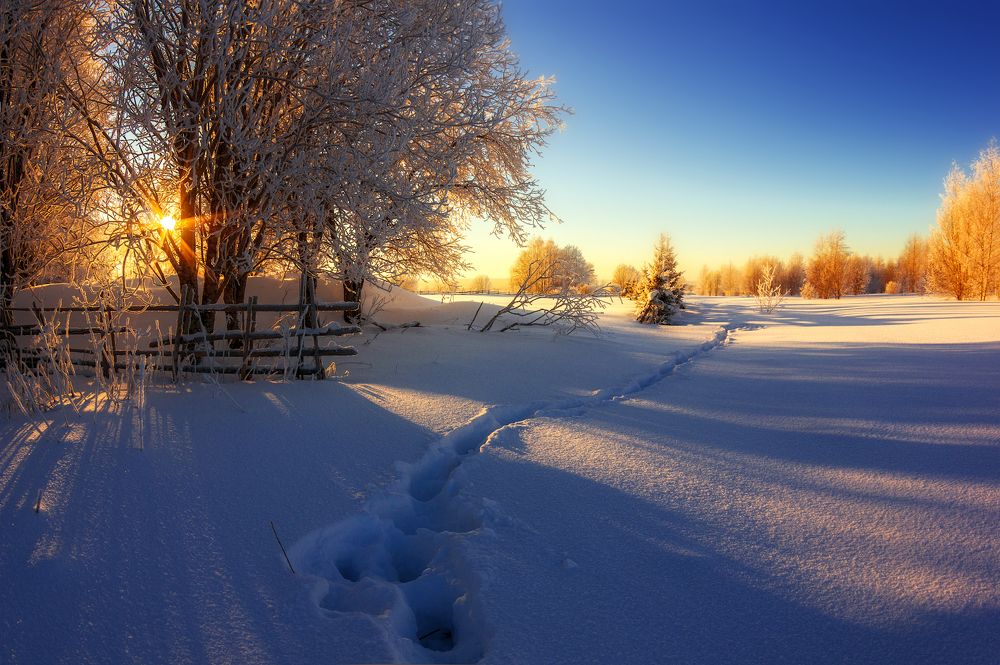 Photograph by Марина Мурашова