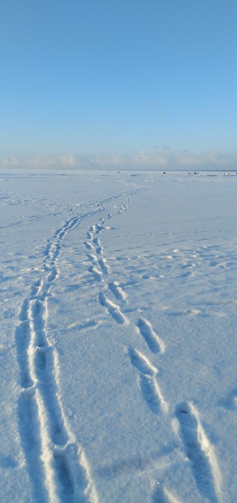 Photograph by Любовь Макарова