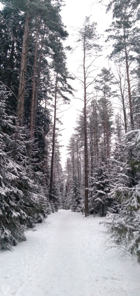 Photograph by Любовь Макарова