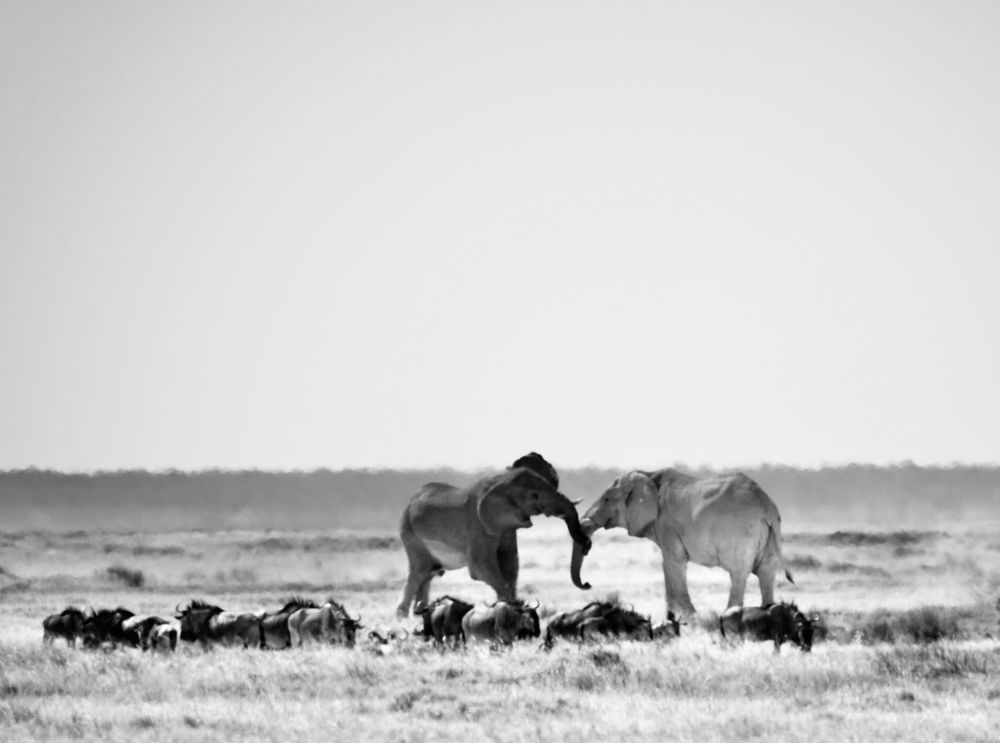 Photograph by Максим Ляменков