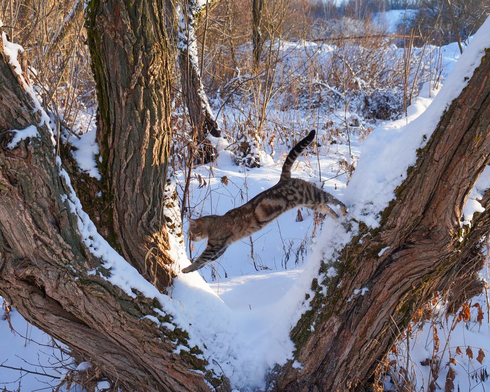 Photograph by Кондрашова Светлана