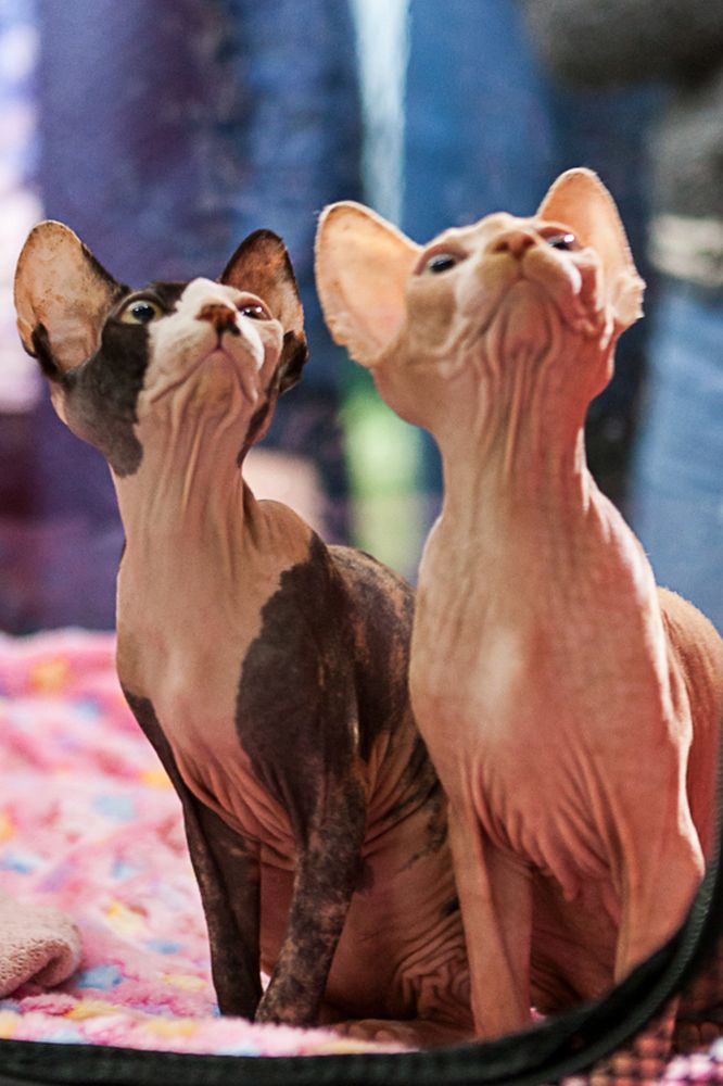 Photograph by Сергей Плотников