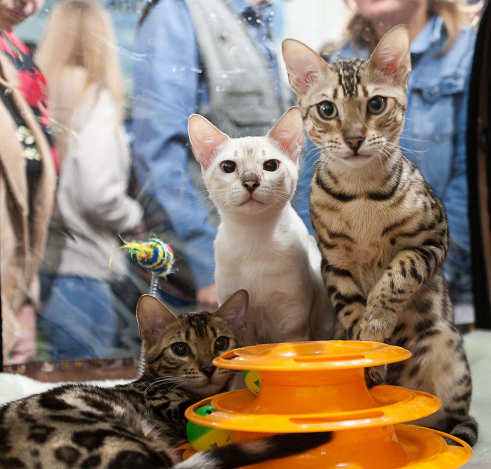 Photograph by Сергей Плотников