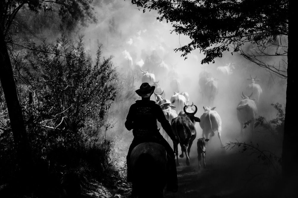 Photograph by FLAVIO SOUZA CRUZ