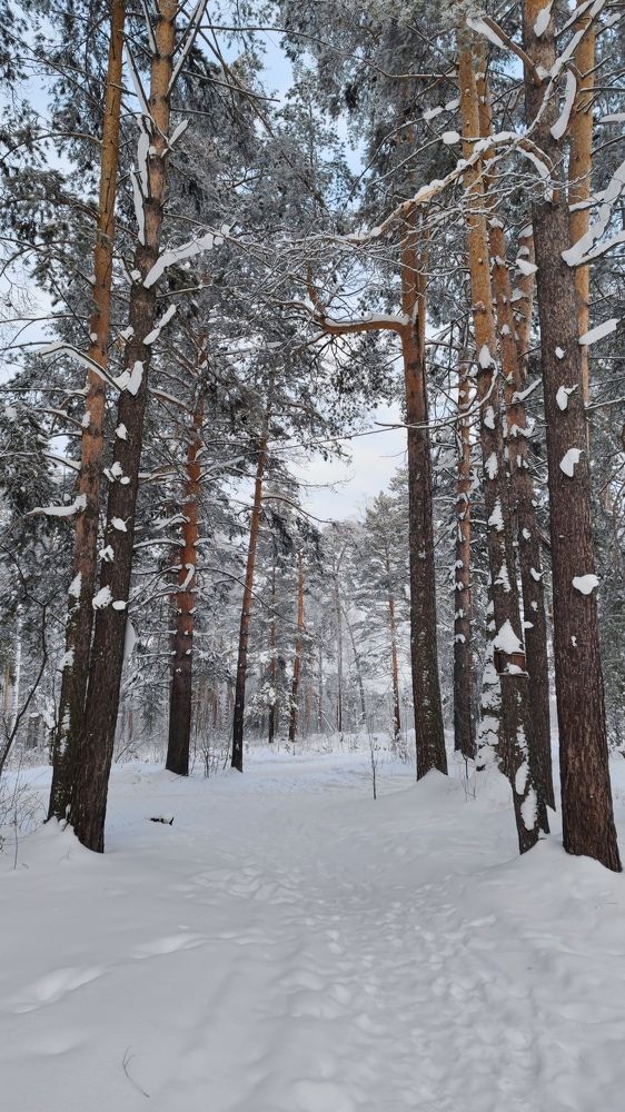 Photograph by Егор Горбунов