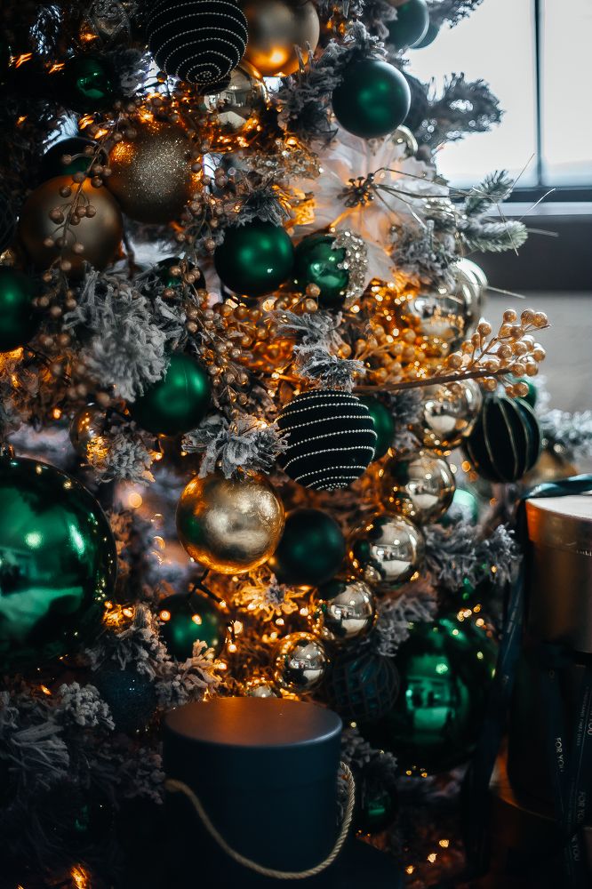 Фотография автора Александра Глускер