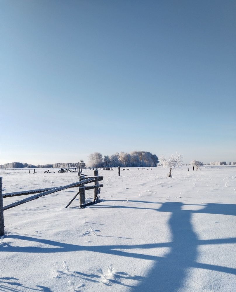 Photo #8662558