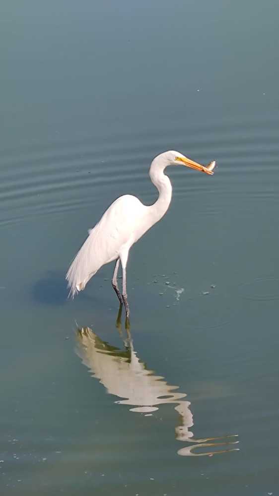 Haciendo por la vida