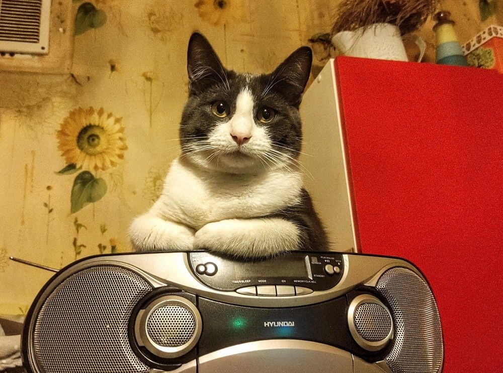 Photograph by Ирина Саттарова