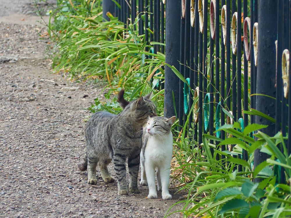 Photograph by Vyacheslav Bashirov