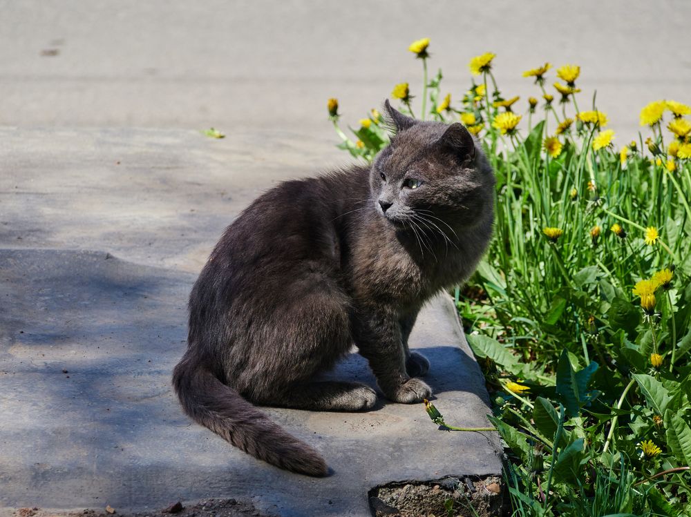 Photograph by Vyacheslav Bashirov