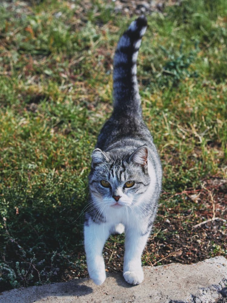 Photograph by Vyacheslav Bashirov