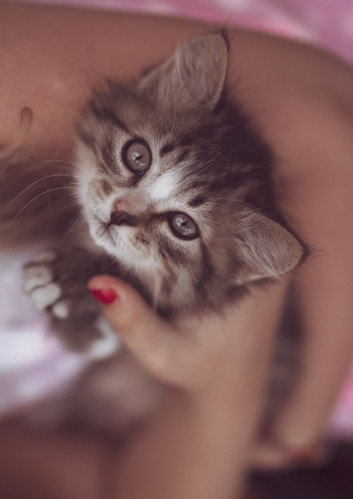 Photograph by Светлана Воронкова