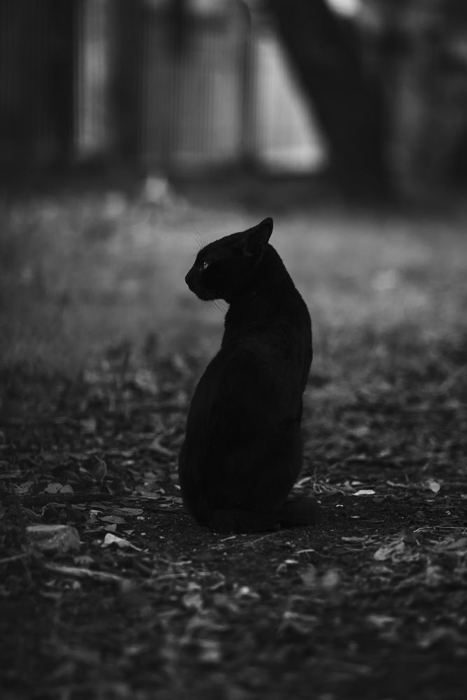 Photograph by Abel Cancino Gutierrez