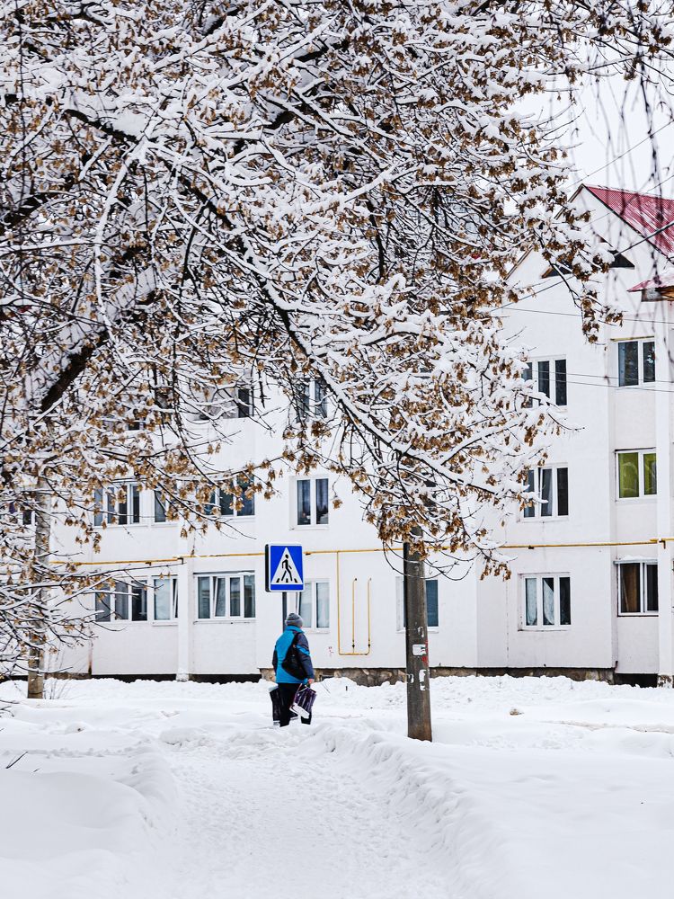 Photograph by Vyacheslav Bashirov