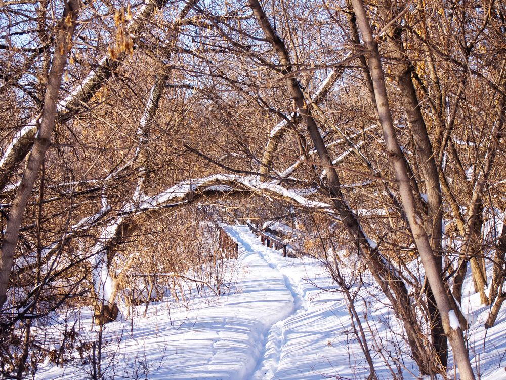 Photograph by Vyacheslav Bashirov