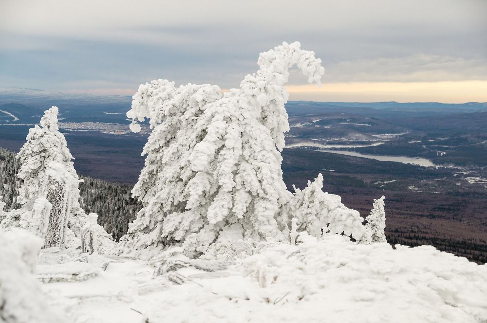 Photograph by Виктор Петров