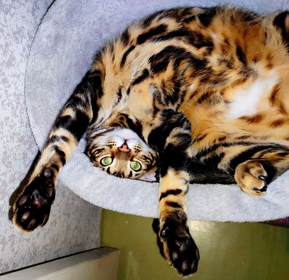 Photograph by Надежда