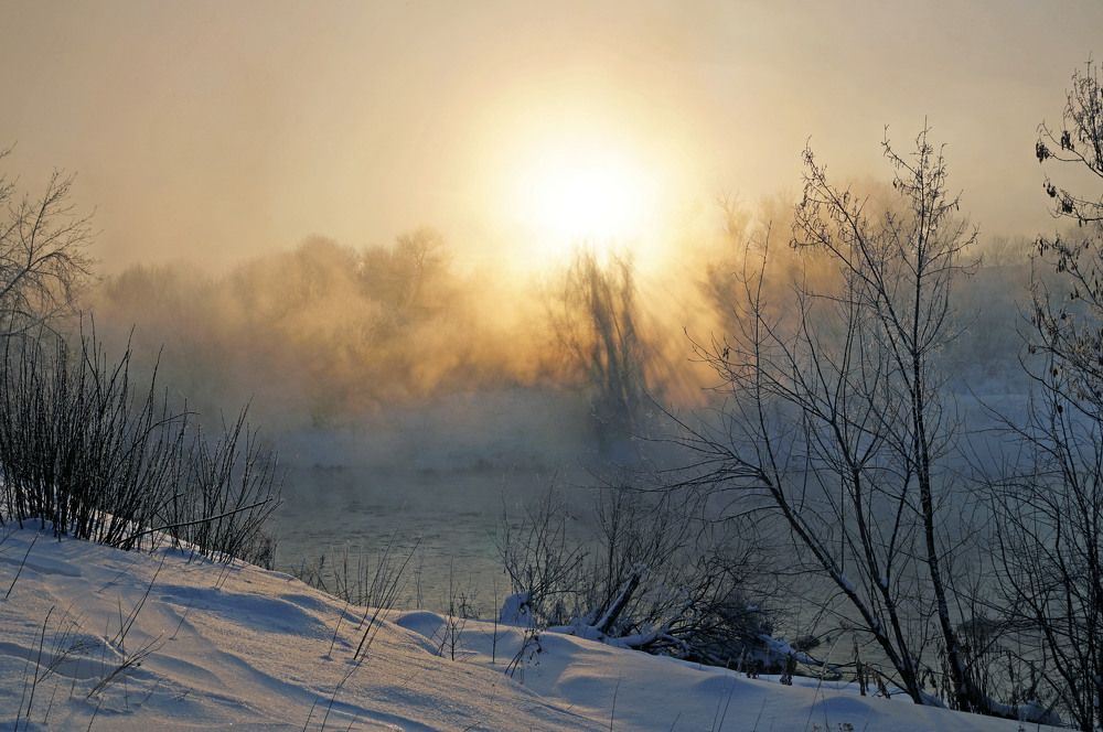 Photograph by Мишустина Татьяна