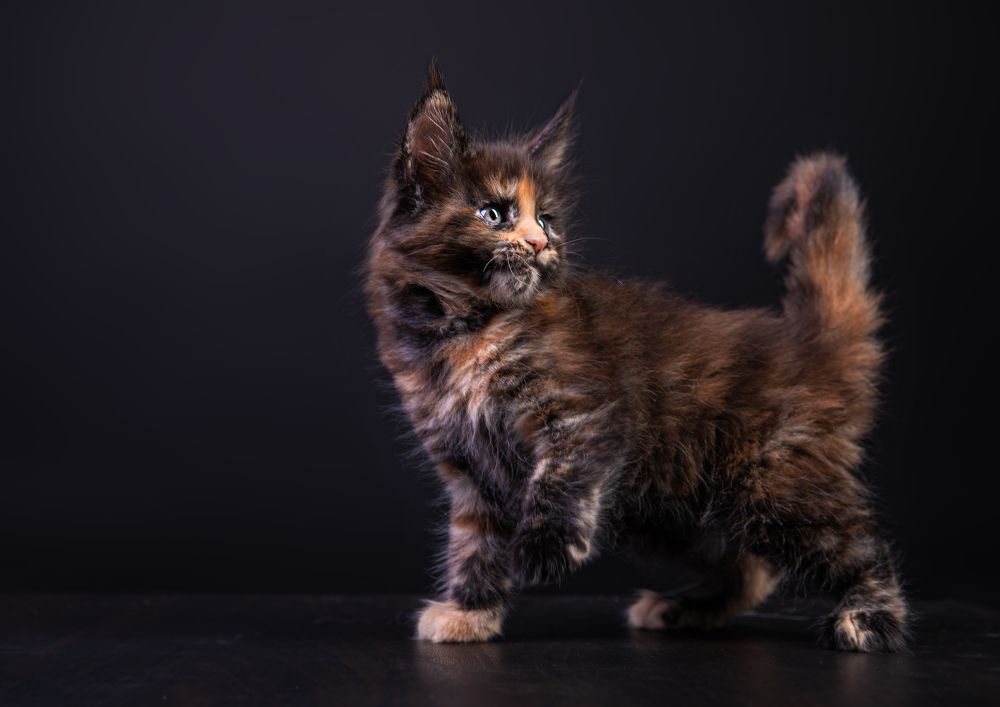 Photograph by наталья залогина