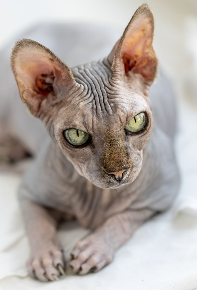 Photograph by Марина Новожилова