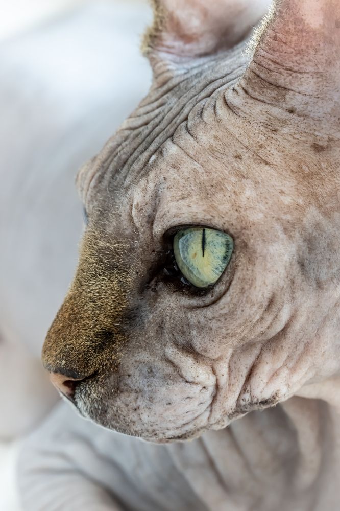 Photograph by Марина Новожилова