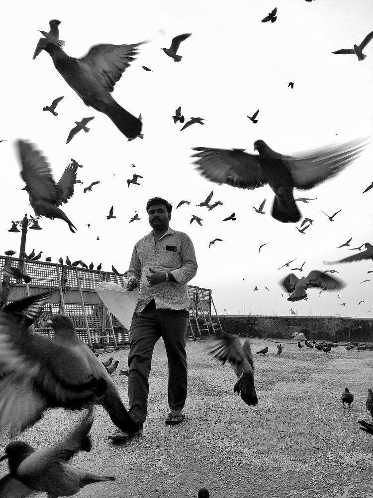 Photograph by Sai Bagal