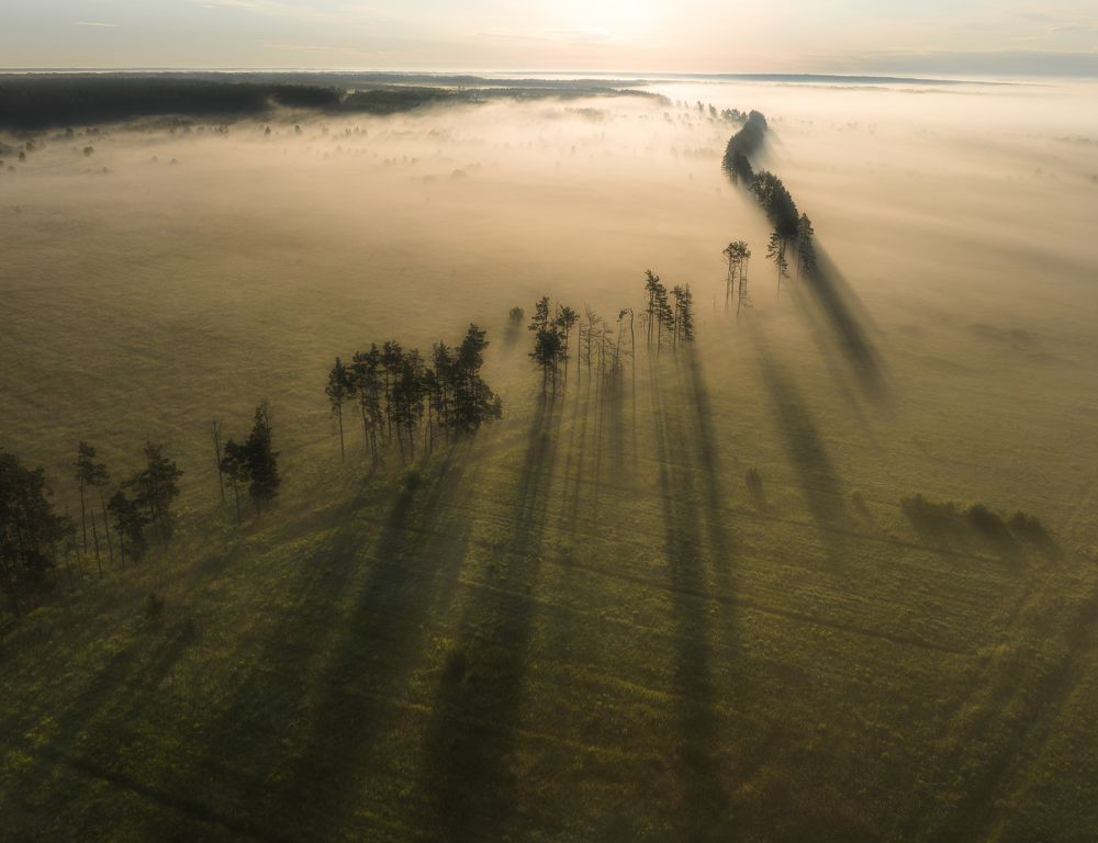 Фотография автора Гарбузов Илья