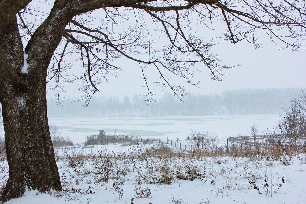 Photograph by Liudmila Pilets