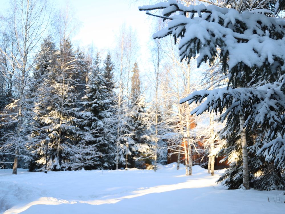 Photograph by Елена Тимченко