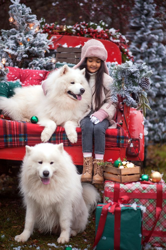 Photograph by Мария Логовик