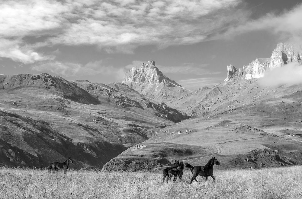 Photograph by Хасан Журтов