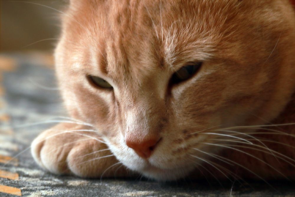 Photograph by Евгений Власов