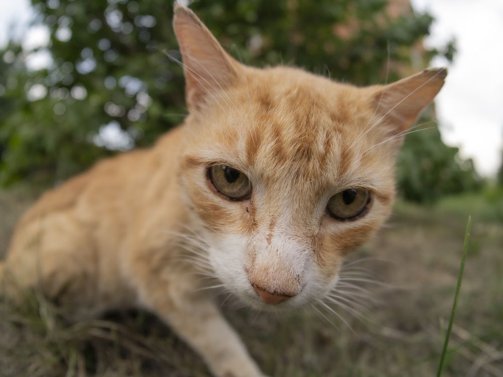 Photograph by Fadeeva Ekaterina