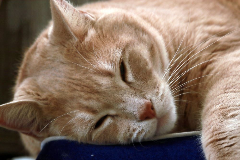 Photograph by Евгений Власов