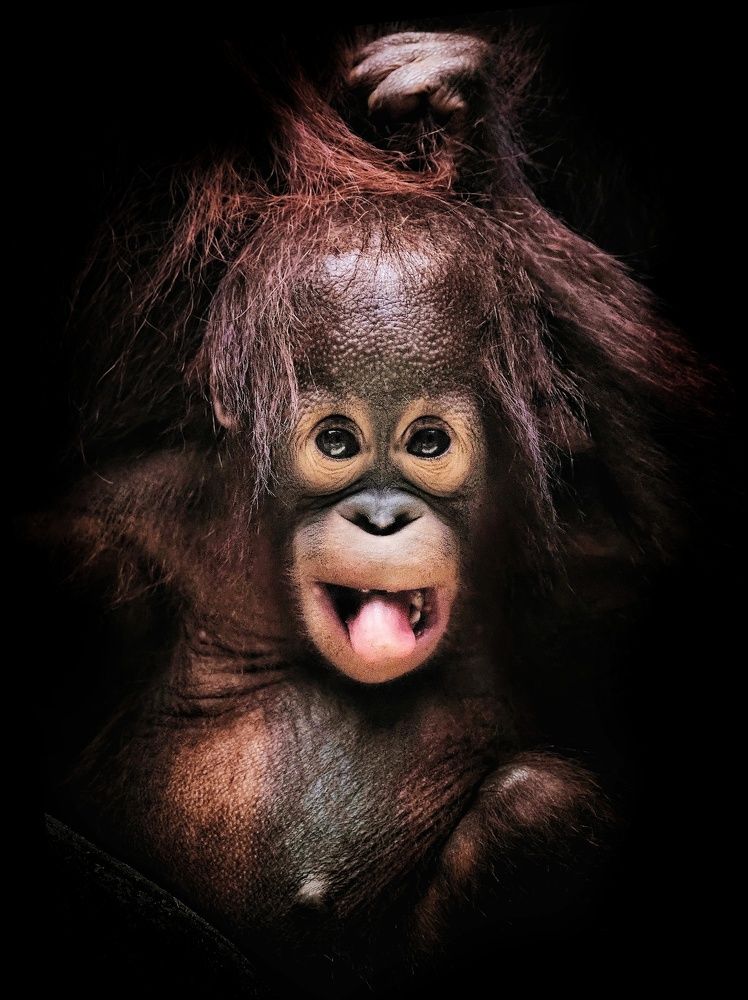 Photograph by Putra Igo