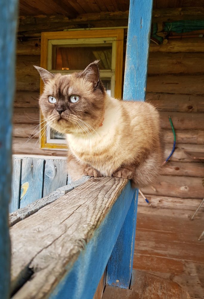Photograph by Наталья Королева
