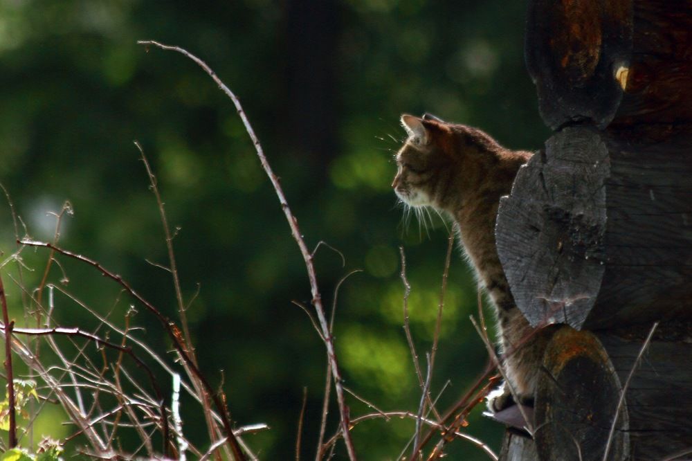 Photograph by Андрей