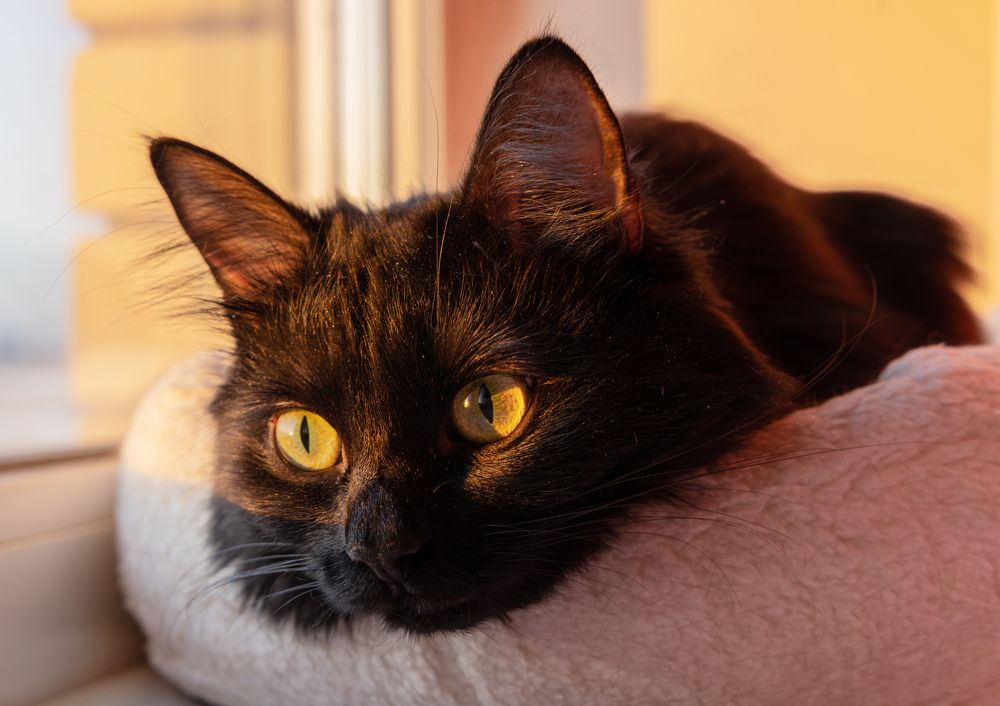 Photograph by Анна Бокова